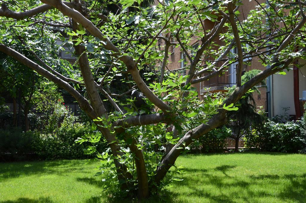 Fig Tree House Budapest Eksteriør bilde